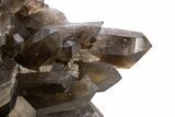 Dark Smoky Quartz Crystal Cluster - Brazil #330464-2